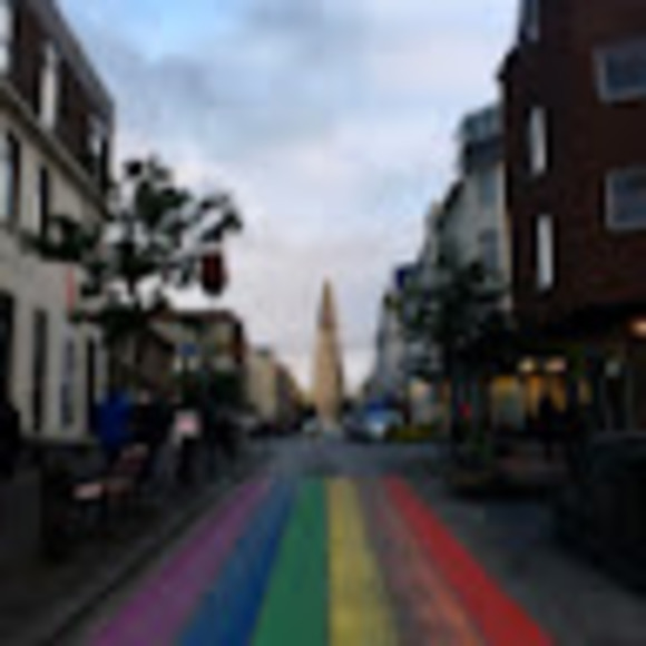 Meet your Posher, Rylie - Picture 1 of 1